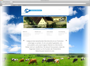 webseite_rinderklinik